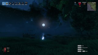 A screenshot of Valheim using a first-person mod, taken on a shore, with grass and trees in the foreground and a beautiful starry sky in the background.