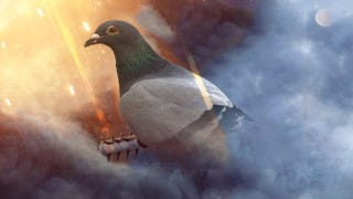 Vais poder controlar um pombo correio em Battlefield 1