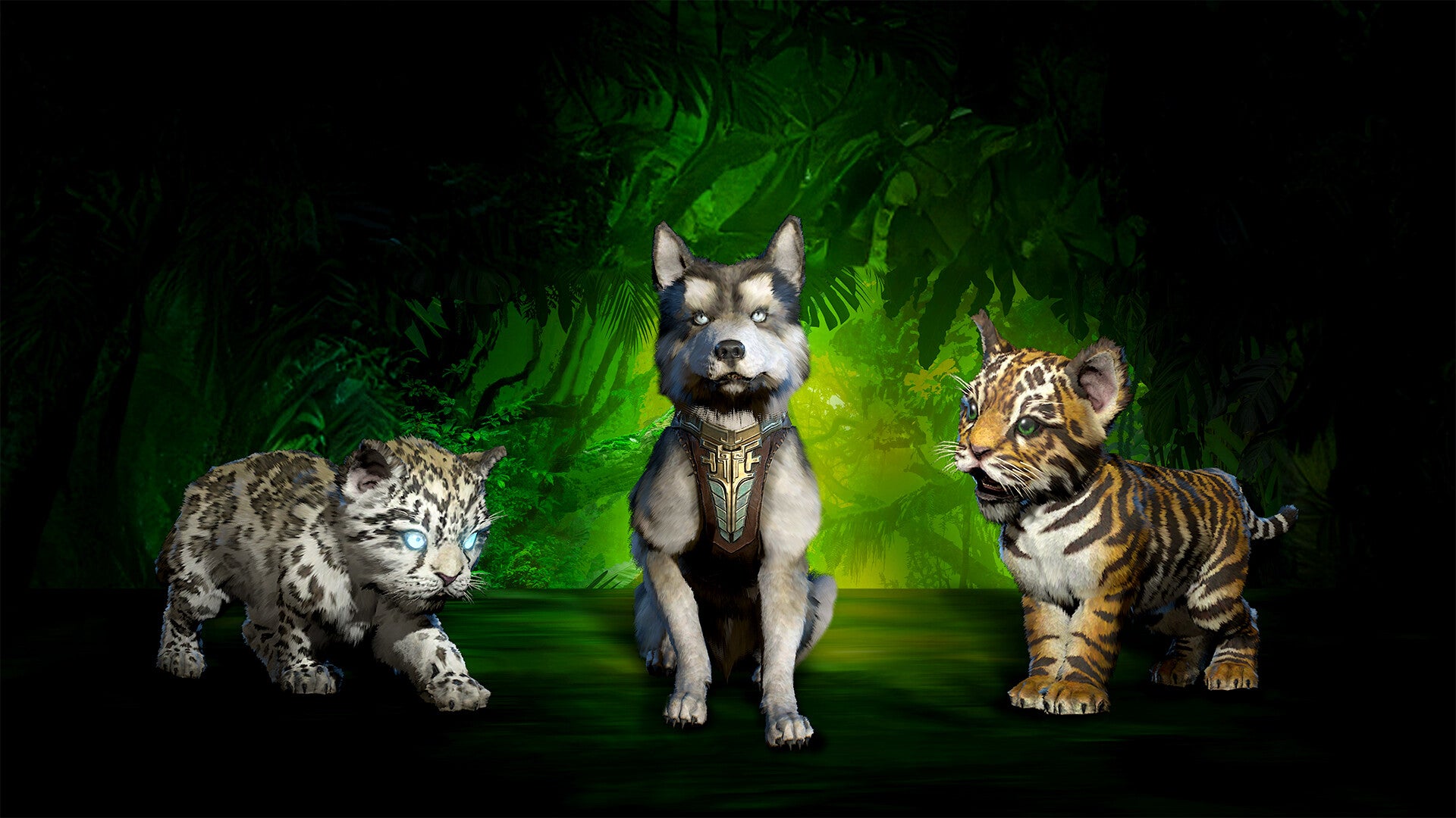 Some nice little pet cats in Diablo 4 - 1