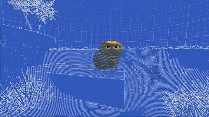 Cute cat in Viewfinder