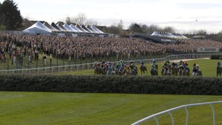 Tonight's Grand National replaces real animals for a pack of digital horses