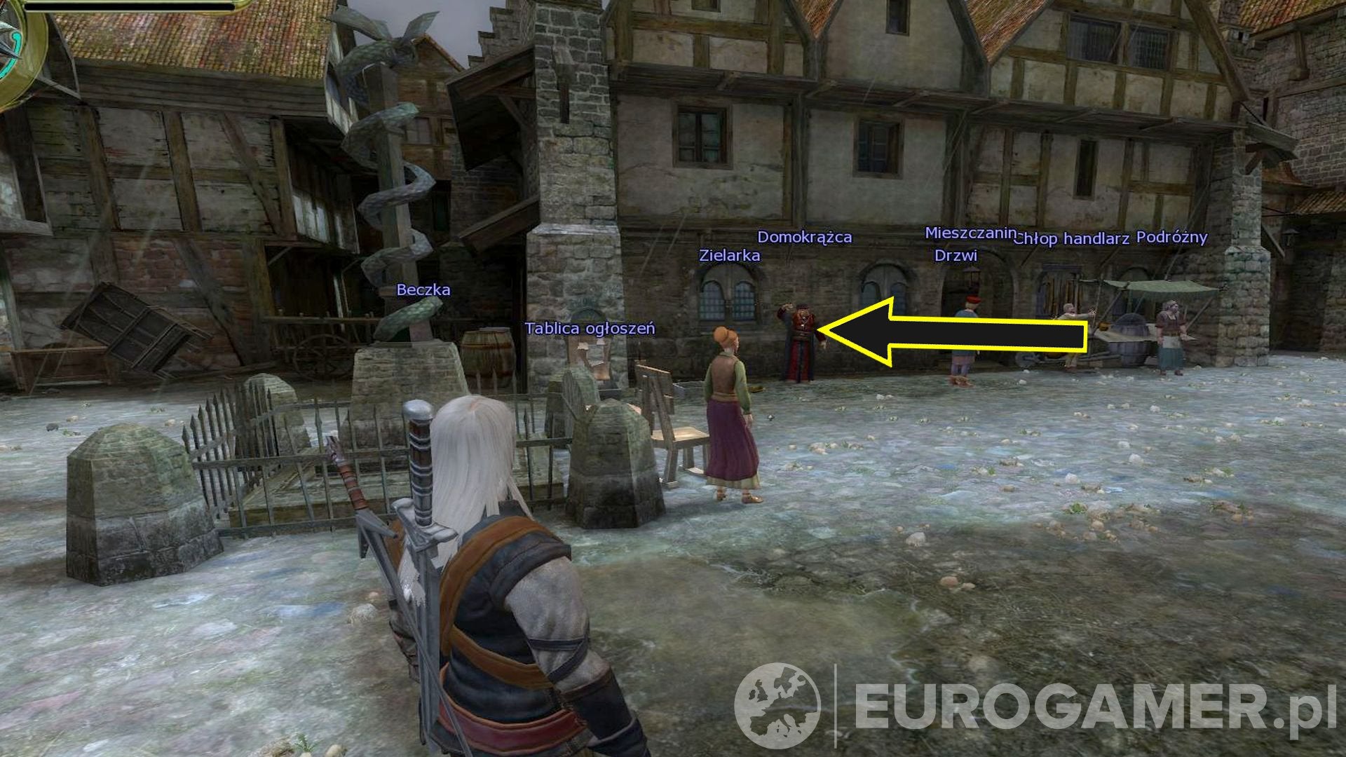 Wiedźmin 1 - karty romansów: lista wszystkich | Eurogamer.pl