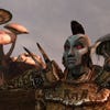 The Elder Scrolls III: Morrowind screenshot