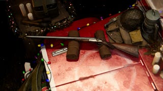 Double Barrel on a blanket surrounded by festive Christmas decorations and lights