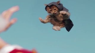 Watch Assassin's Creed recreated with cats