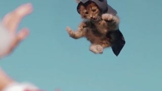 Un corto ricrea Assassin's Creed con i gatti