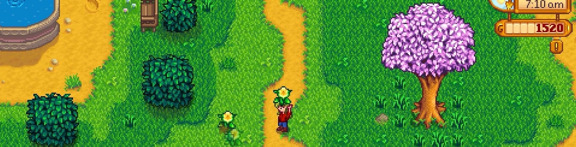 Watch: Tips for getting started in Stardew Valley
