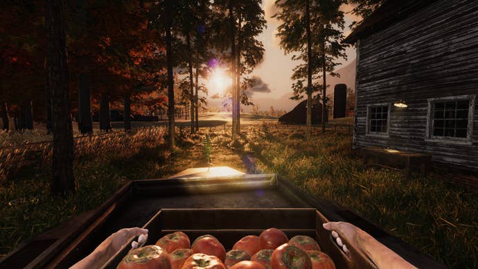 A screenshot from We Harvest Shadows showing a character holding a crate of tomatoes - they have just grown and picked - in first-person. Around them, the sun is setting through some trees.