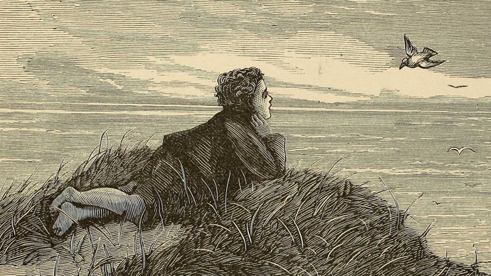 이번 주말에 우리 모두 뭐하고 놀까?