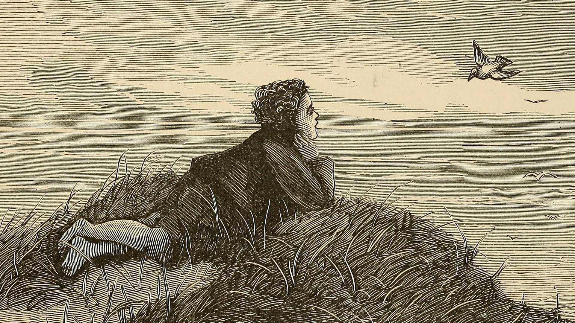 Just a boy staring at a seagull. What innocent times! Unless he has malicious plans for the gull. Or perhaps the gull is about to commit vengeance upon the lad?! Either way, boy and gull. - 1