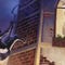 Arte de Sly Cooper: Thieves in Time