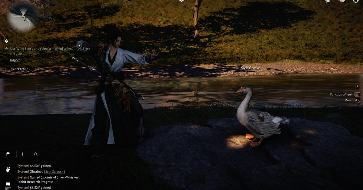 Where Winds Meet Honk If You Want Treasure Walkthrough | VG247