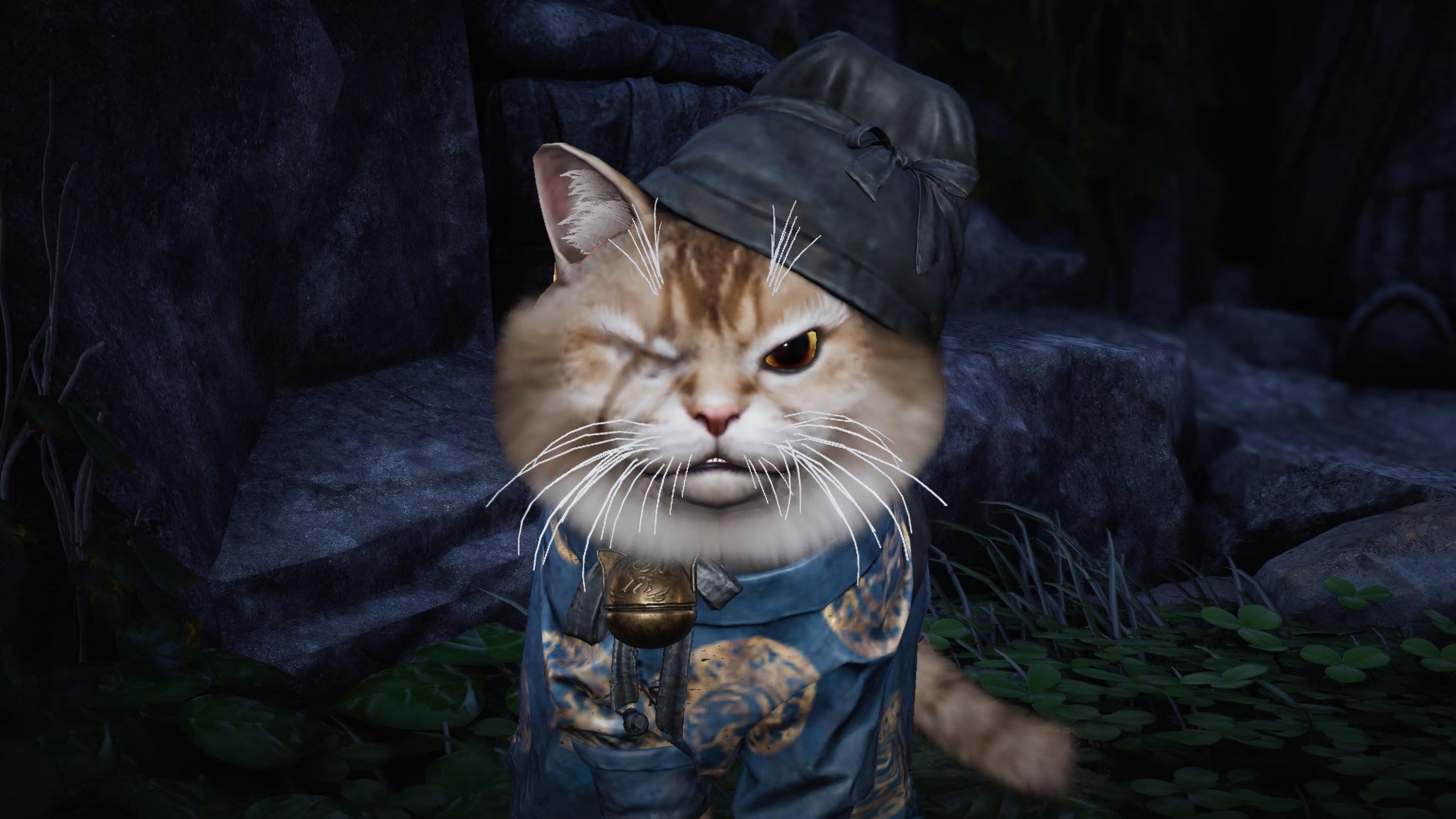 Where Winds Meet Meow Meow Treasures locations and rewards | VG247