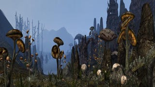 Wijde Open Wereld - The Elder Scrolls 3: Morrowind