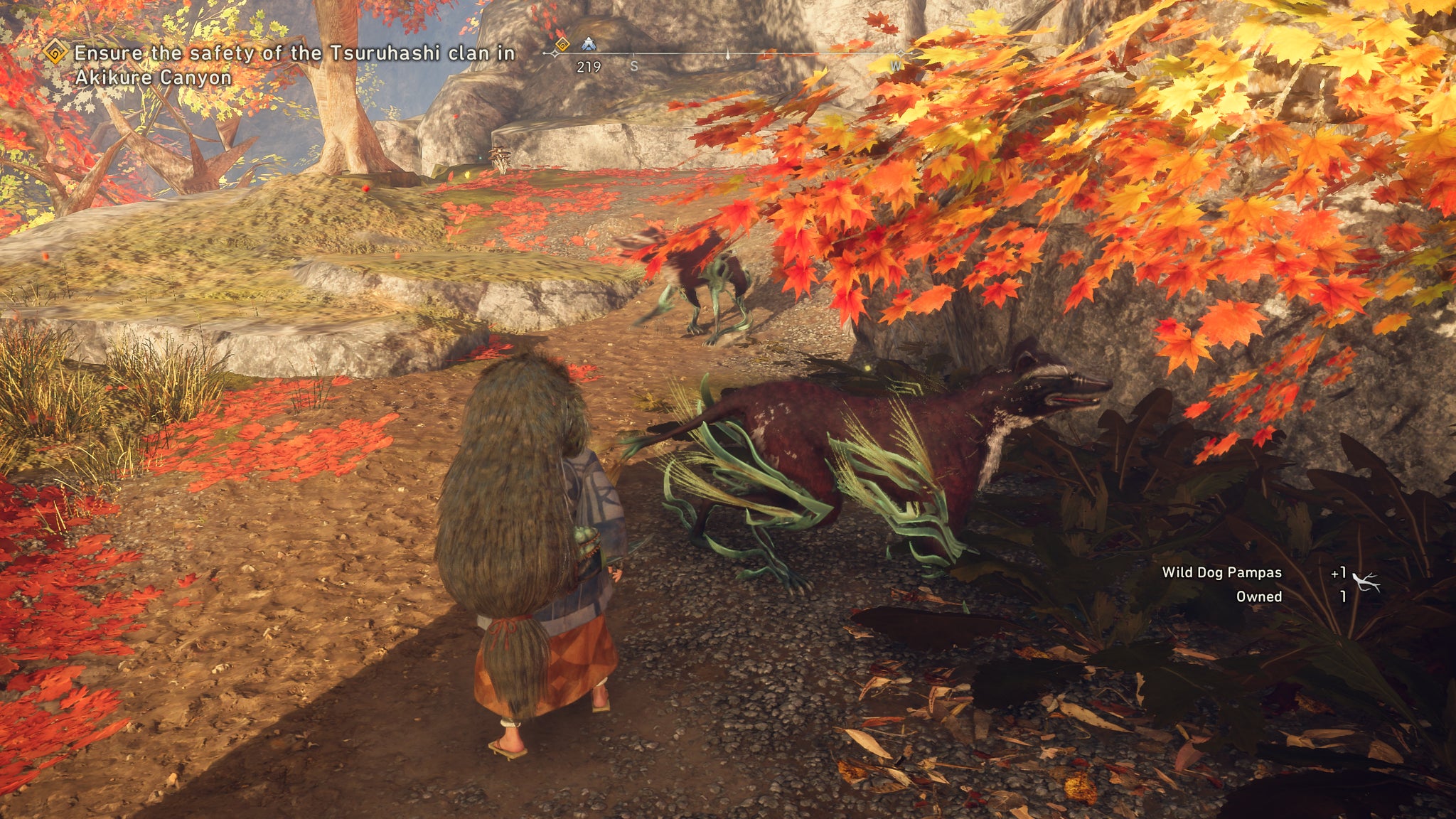 A hunter petting a Wild Hound to collect Wild Dog Pampas - 5