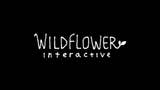 Wildflower è il nuovo studio creato da Bruce Straley, co-autore di Uncharted e The Last of Us