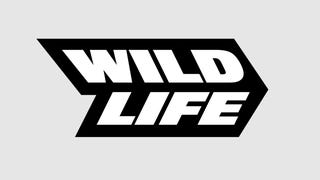 Wildlife launches independent studio SuperWow Games