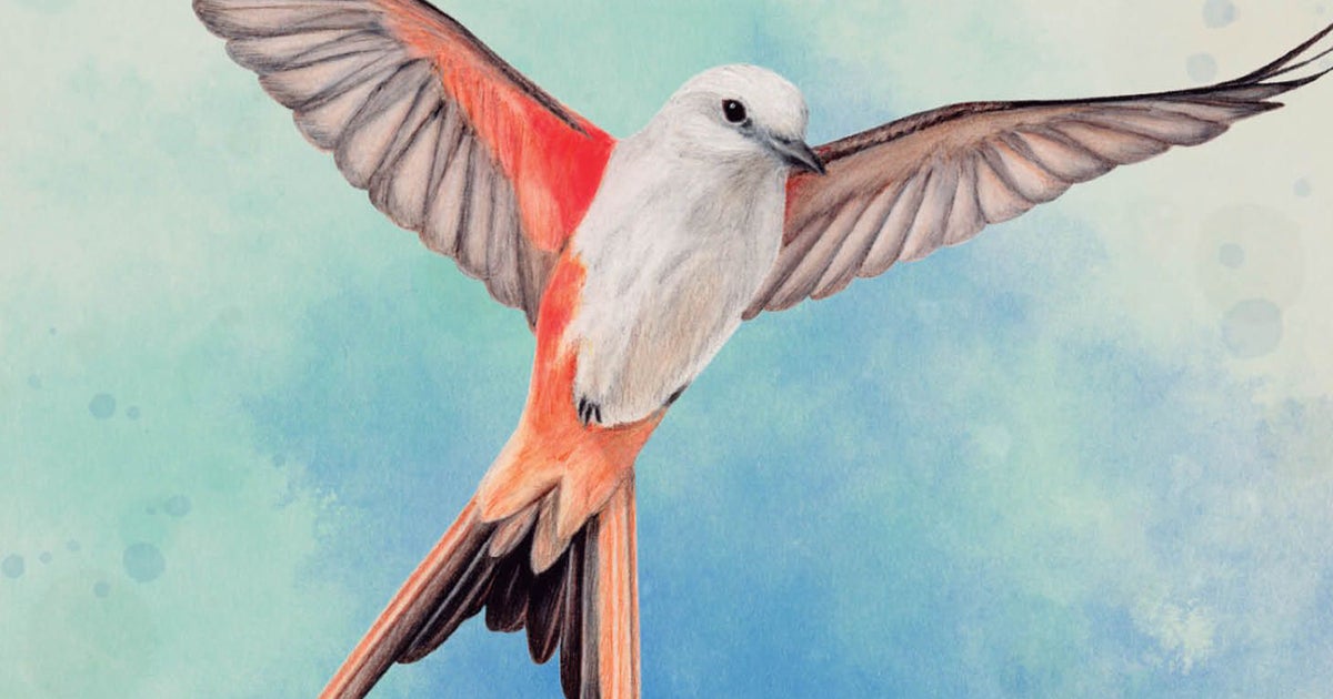 Wingspan has sold over 1 million copies in just three years | Dicebreaker