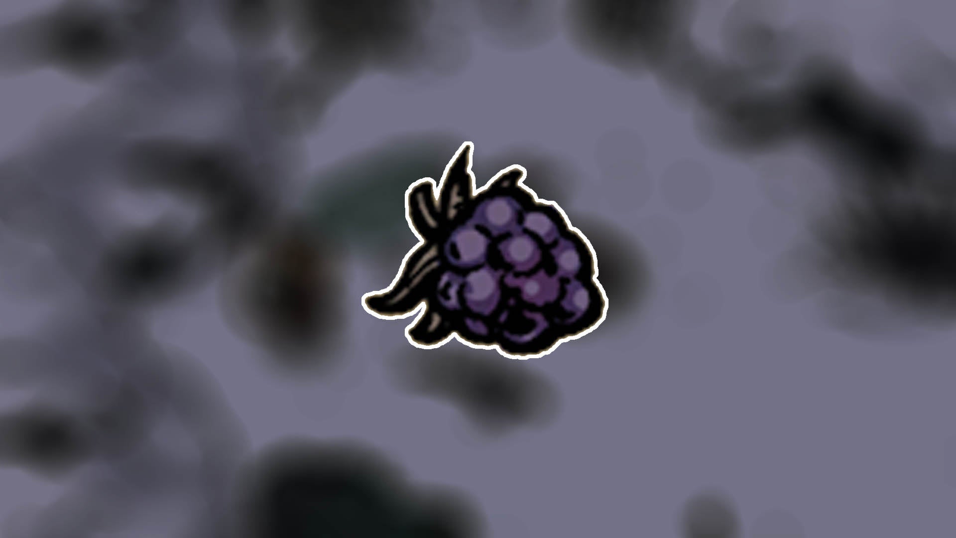 winter burrow blackberry header