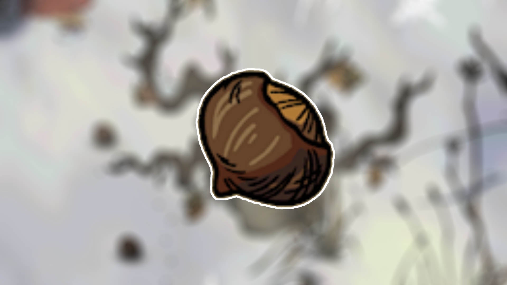 winter burrow, a large hazelnut on a blurry background