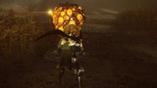 An Elden Ring player standing in front of a Winter Lantern.