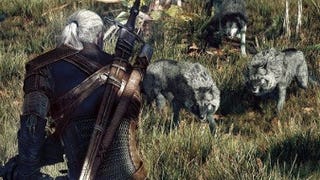 Witcher 3: Wild Hunt's new screens show beasts, combat & vistas