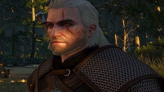 Witcher 3's latest patch tidies up Nvidia Hairworks performance