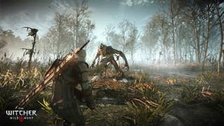 Why I'm (Ever So Slightly) Worried About The Witcher 3