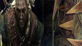 Witcher dev: "too early" to discuss multiplayer hire