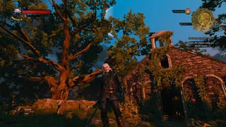The Witcher 3: The Merry Widow Contract