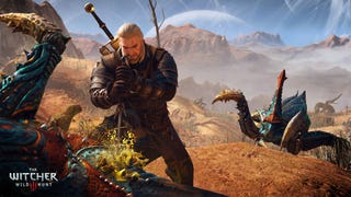 The Witcher 3: Missing Brother Witcher Contract