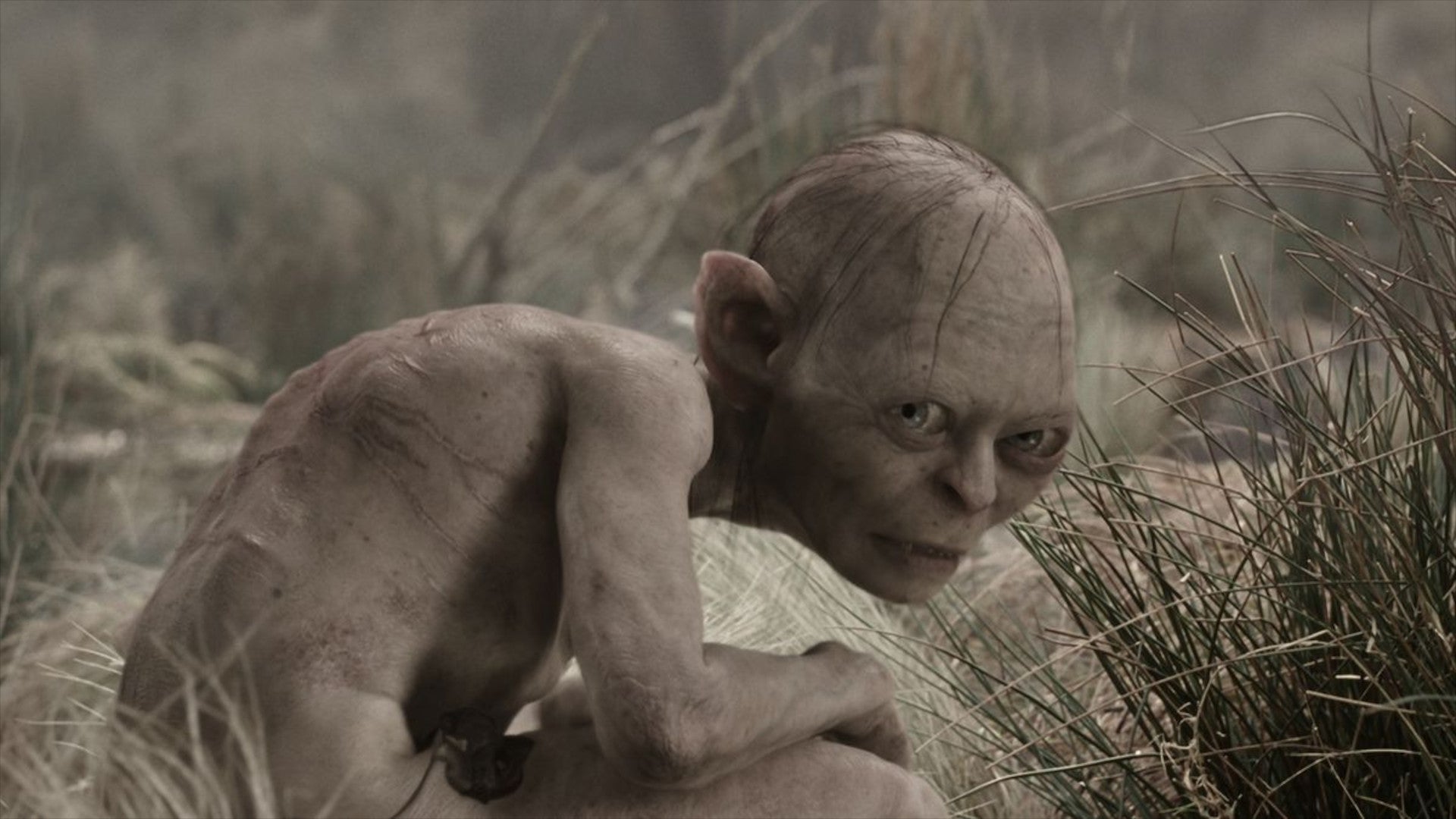 wiemy-kiedy-nowy-w-adca-pier-cieni-trafi-do-kin-the-hunt-for-gollum