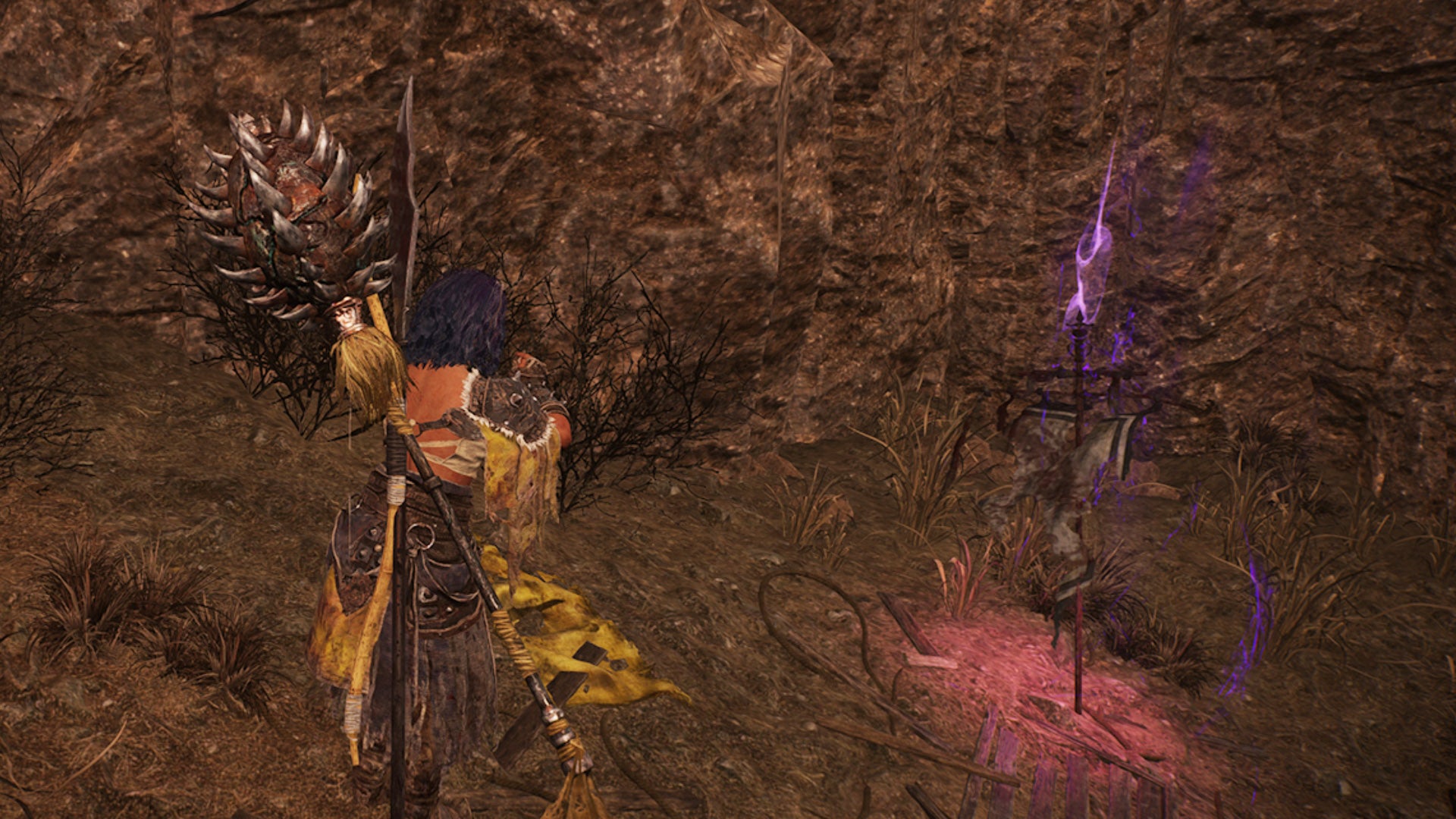 wo long fallen dynasty vengeance flag