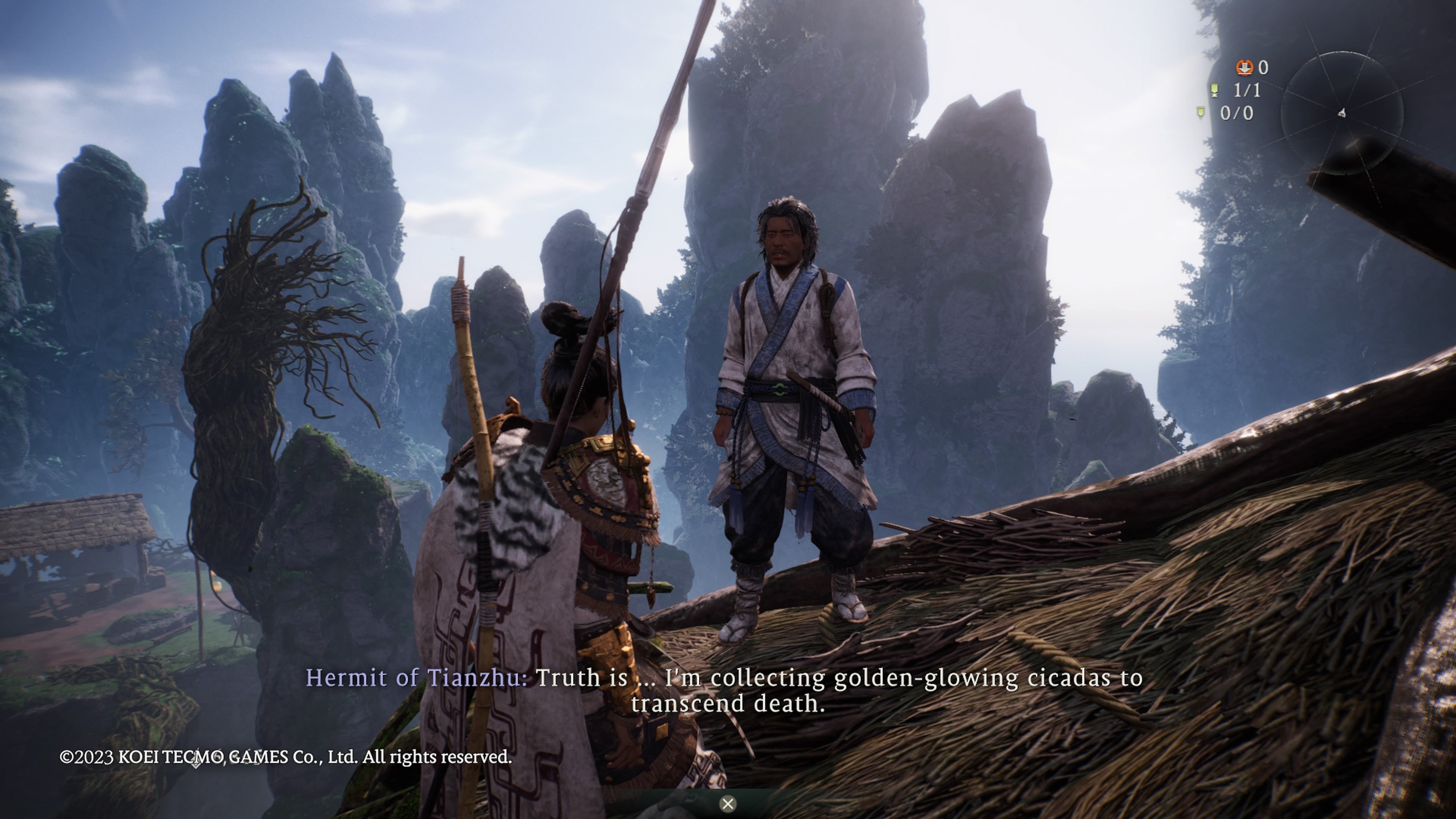 The player speaking to the Golden Cicada Shell man in Wo Long