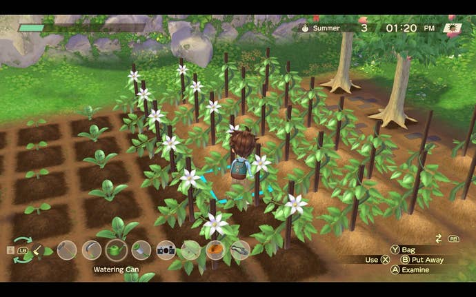 A farmer tends to their crops