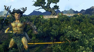 Total War: Warhammer's Wood Elves like to shoot and run