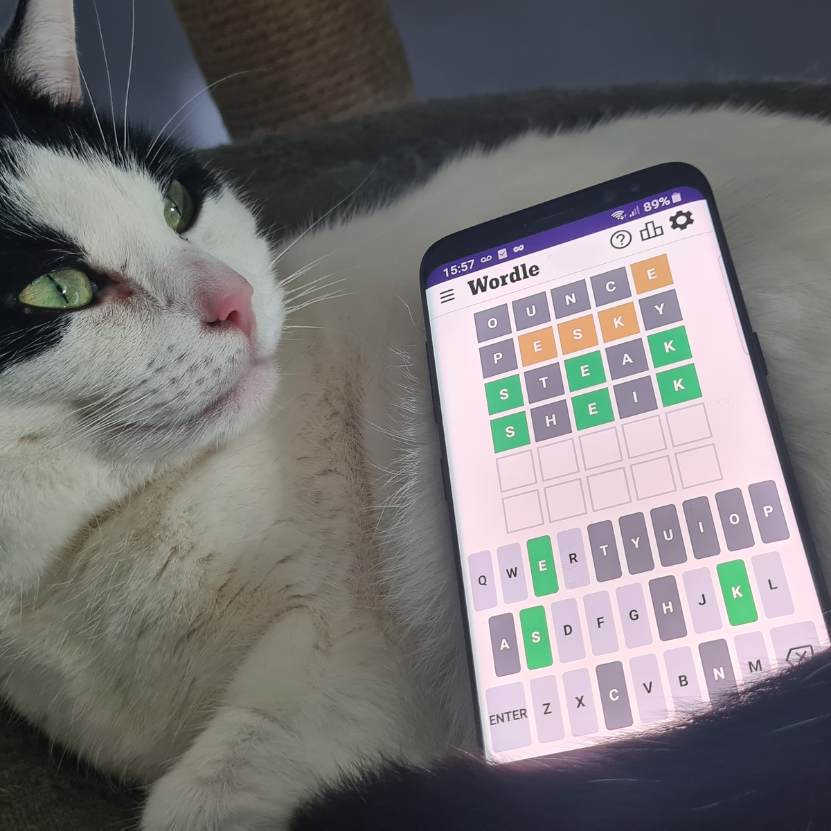 Wordle hint and answer for Tuesday, October 29 | Rock Paper Shotgun