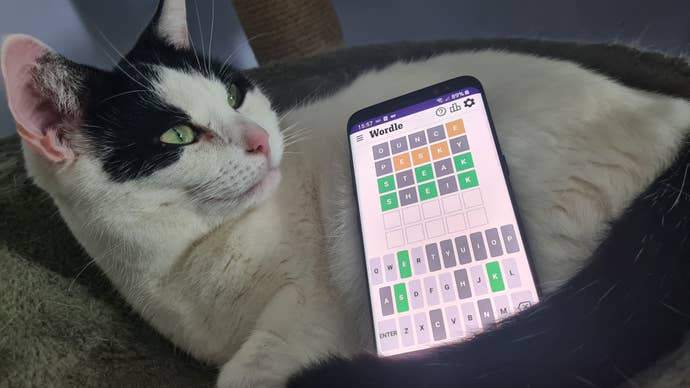 Ollie’s cat Kira cuddles up to a phone that is playing Wordle.