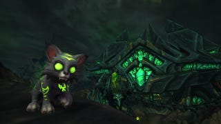 World of Warcraft's Make-A-Wish pet Mischief is ready to adopt along with an adorable plushie