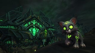 This year's World of Warcraft charity pet is an adorable Fel Kitty named Mischief