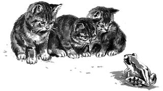 An illustration of three cautious yet curious tabby kittens watching a frog.