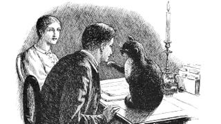 Two people stare in delight at a cat sat on a desk, its paw reaching out to touch their face.