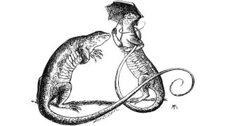 An illustration of two lizards standing on their hind legs, one of them holding an umbrella.