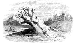 An illustration of a barren old tree with a big 'KEEP OUT' sign held in the branches.