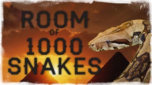 Room of 1000 Snakes boxart