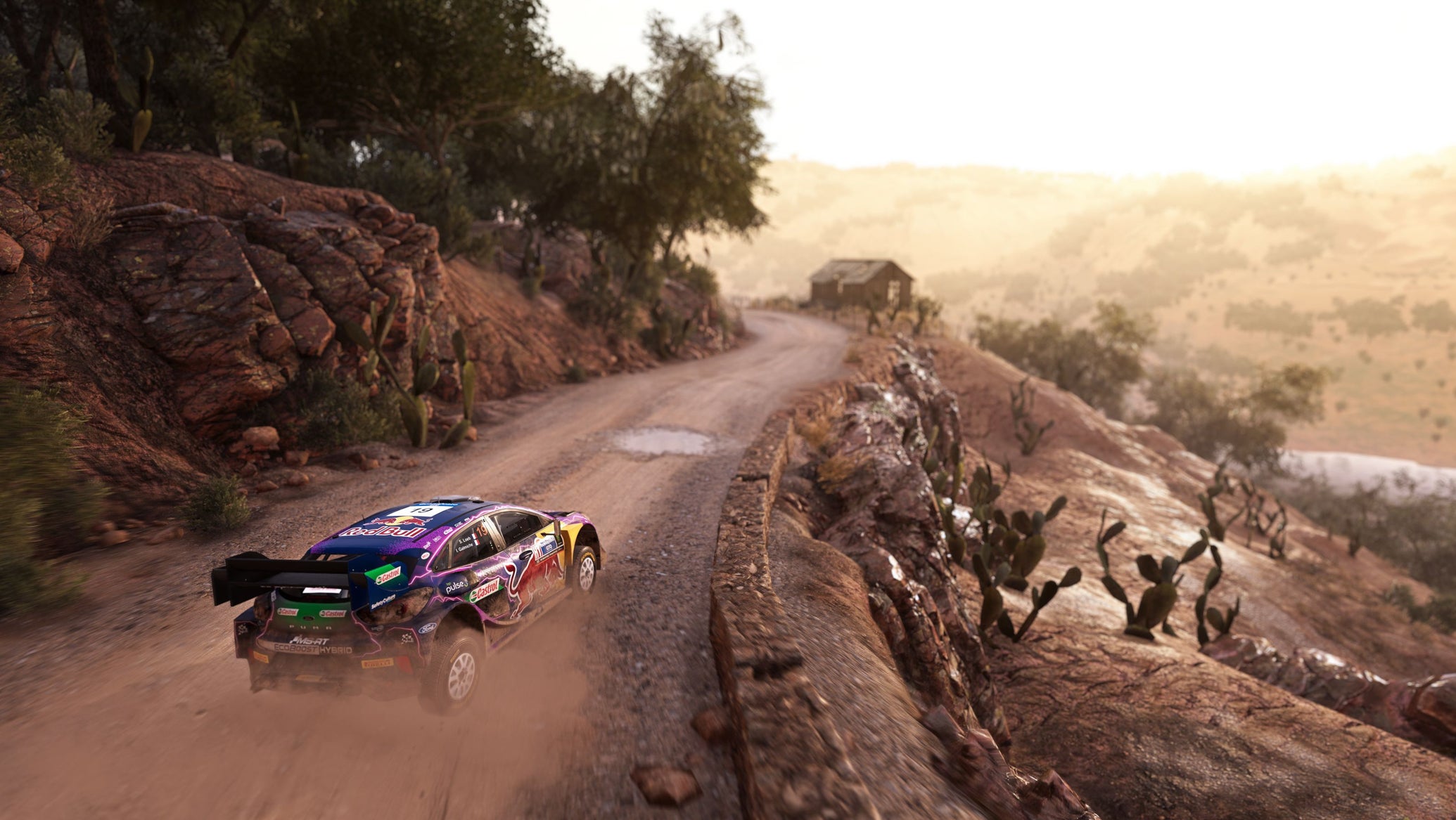 A rally car speeds through the dirt of a hillside overlooking a valley. - 1