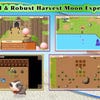 Screenshots von Harvest Moon: Seeds of Memories