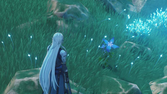 wuthering waves calcharo and an iris