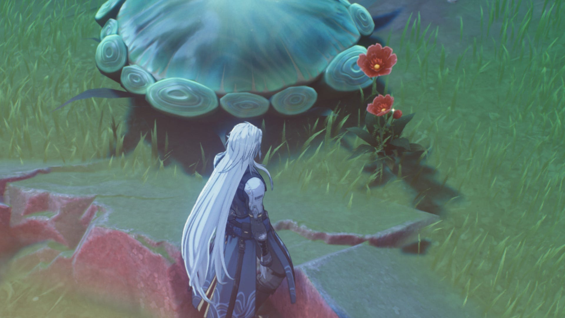 Wuthering Waves Belle Poppy locations