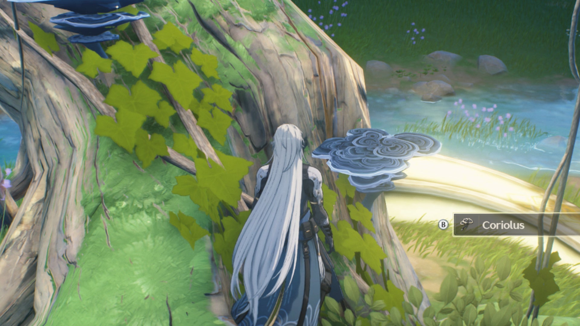 wuthering waves calcharo facing coriolus